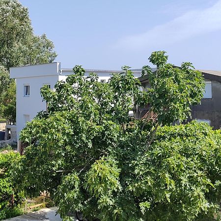 אולסינץ' Vila Goga מראה חיצוני תמונה